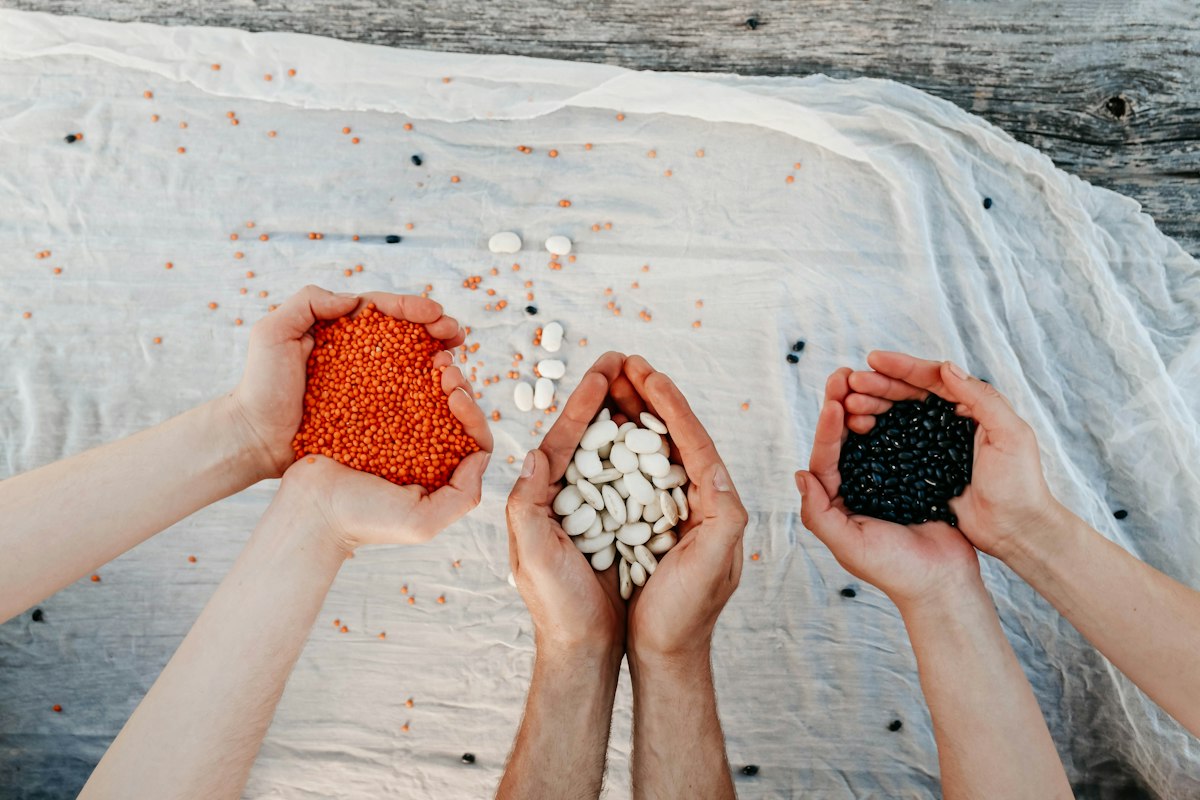 Unser Auftrag bei Healingcerealsnerve